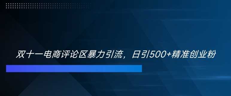 双十一电商评论区暴力引流，日引500+精准创业粉【揭秘】-飓风网创资源站