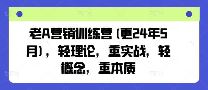 老A营销训练营(更24年10月)，轻理论，重实战，轻概念，重本质-飓风网创资源站