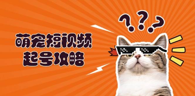 萌宠短视频起号攻略：定位搭建推流全解析，助力新手轻松打造爆款-飓风网创资源站