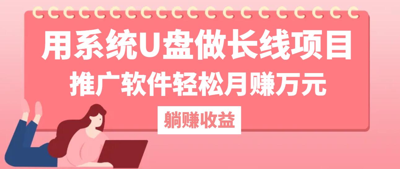 用系统U盘做长线项目，推广软件轻松月赚万元-飓风网创资源站