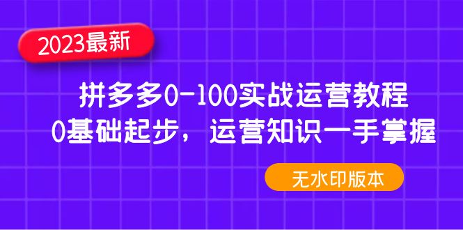 （4835期）2023拼多多0-100实战运营教程，0基础起步，运营知识一手掌握（无水印）-大海创业网