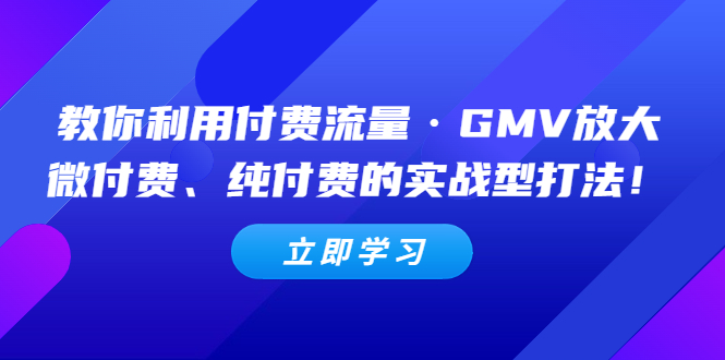 （5106期）教你利用付费流量·GMV放大，微付费、纯付费的实战型打法！-创客军团