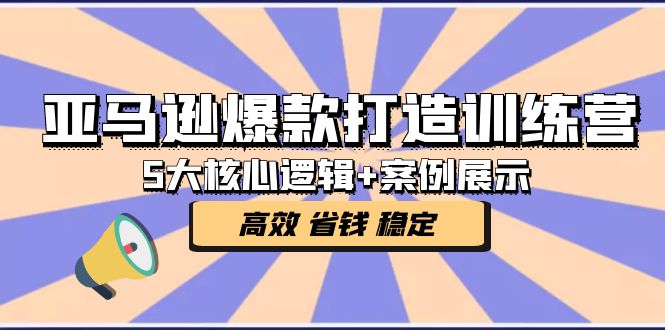 （5107期）亚马逊爆款打造训练营：5大核心逻辑+案例展示 打造爆款链接 高效 省钱 稳定-随风网创