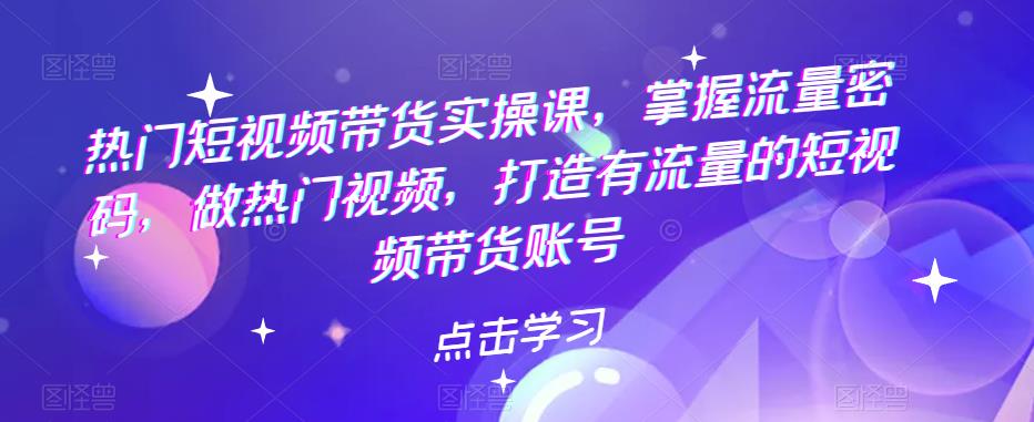 （5773期）热门短视频带货实战 掌握流量密码 做热门视频 打造有流量的短视频带货账号-搞点网创库