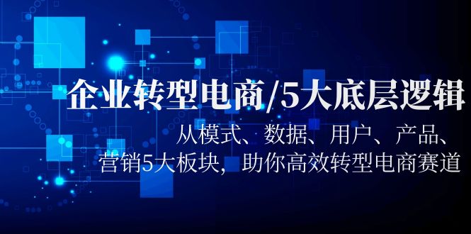 （5939期）企业转型电商/5大底层逻辑，从模式 数据 用户 产品 营销5大板块，高效转型-优优云网创