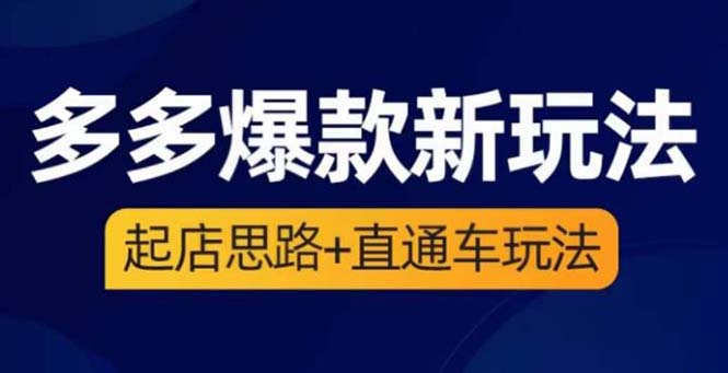 （6028期）2023拼多多爆款·新玩法：起店思路+直通车玩法（3节精华课）-创客军团