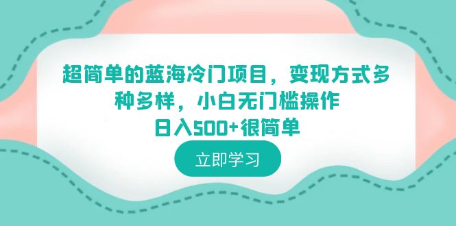 （6422期）超简单的蓝海冷门项目，变现方式多种多样，小白无门槛操作日入500+很简单-云网创