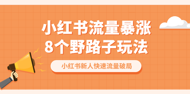 （6476期）小红书流量-暴涨8个野路子玩法：小红书新人快速流量破局（8节课）-花生资源网