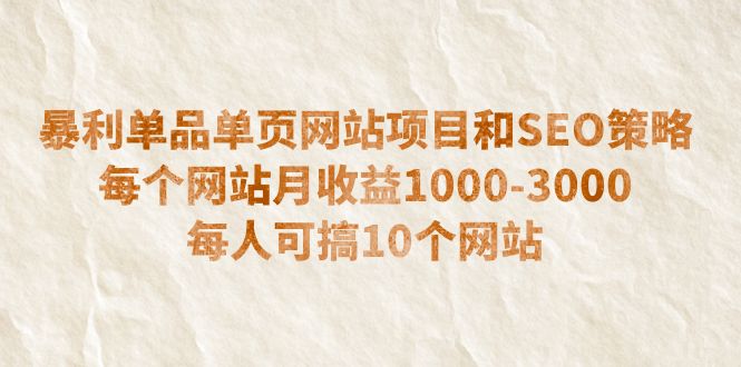 （6503期）暴利单品单页网站项目和SEO策略  每个网站月收益1000-3000  每人可搞10个-大海创业网