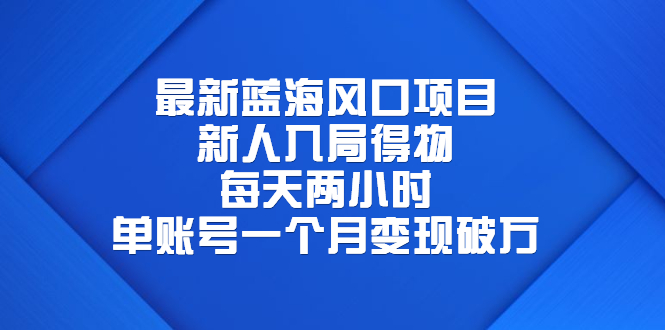 （6514期）最新蓝海风口项目，新人入局得物，每天两小时，单账号一个月变现破万 - 当动网创