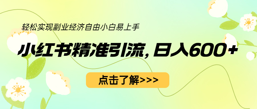 （6515期）小红书精准引流，小白日入600+，轻松实现副业经济自由（教程+1153G资源）-枫客网创