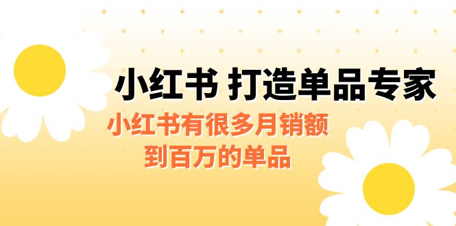 （6541期）某公众号付费文章《小红书 打造单品专家》小红书有很多月销额到百万的单品-小禾网创