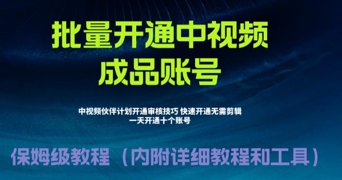 （6561期）外面收费1980暴力开通中视频计划教程，附 快速通过中视频伙伴计划的办法-深鱼云创