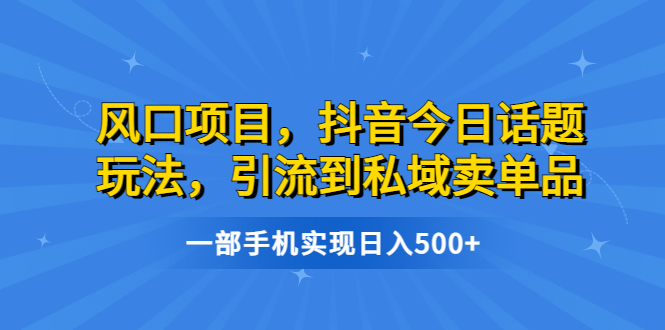 （6588期）风口项目，抖音今日话题玩法，引流到私域卖单品，一部手机实现日入500+-枫客网创