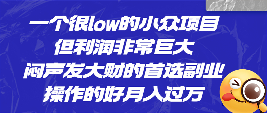 （6601期）一个很low的小众项目，但利润非常巨大，闷声发大财的首选副业，月入过万-枫客网创