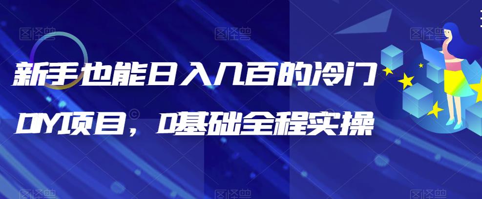 （6630期）新手也能日入几百的冷门DIY项目，0基础全程实操【揭秘】-枫客网创