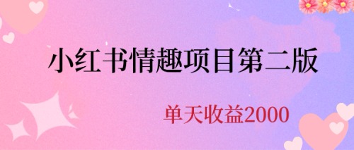 （6648期）最近爆火小红书情趣项目第二版，每天2000+-大海创业网