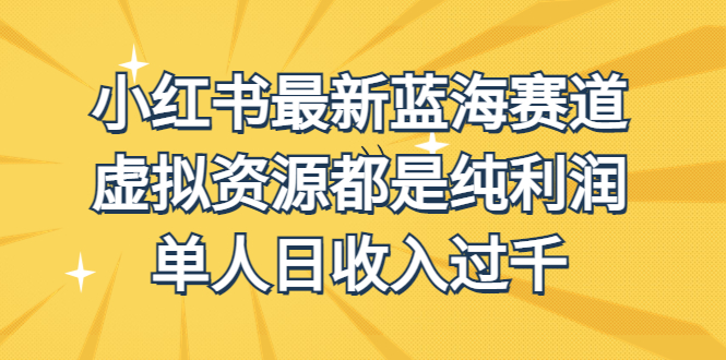 （6721期）外面收费1980的小红书最新蓝海赛道，虚拟资源都是纯利润，单人日收入过千-亿云网创