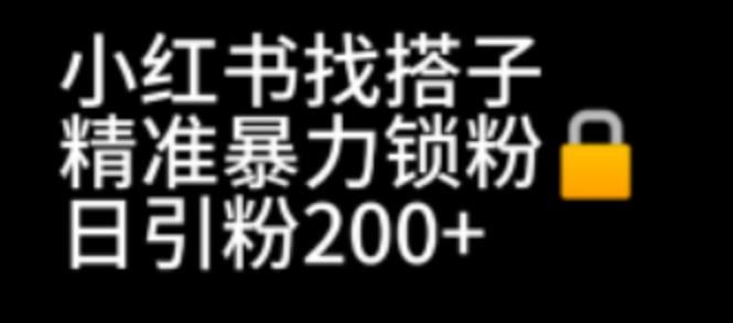 （6807期）小红书找搭子暴力精准锁粉+引流日引200+精准粉-云网创