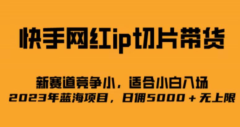 （6832期）快手网红ip切片新赛道，竞争小事，适合小白  2023蓝海项目-易创网