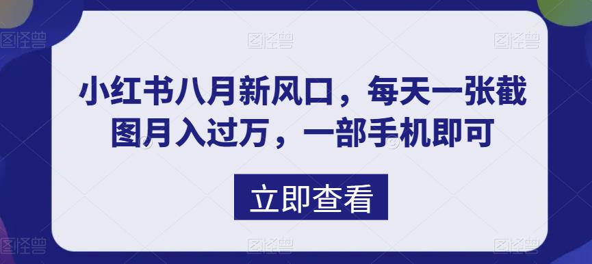 （6851期）八月新风口，小红书虚拟项目一天收入1000+，实战揭秘-创享网