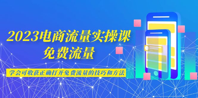 （6880期）2023电商流量实操课-免费流量，学会可收获正确打开免费流量的技巧和方法-大海创业网