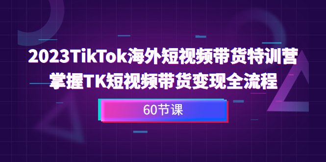 （6890期）2023-TikTok海外短视频带货特训营，掌握TK短视频带货变现全流程（60节课）-大海创业网