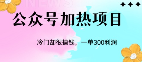 （6916期）冷门公众号加热项目，一单利润300+-大海创业网