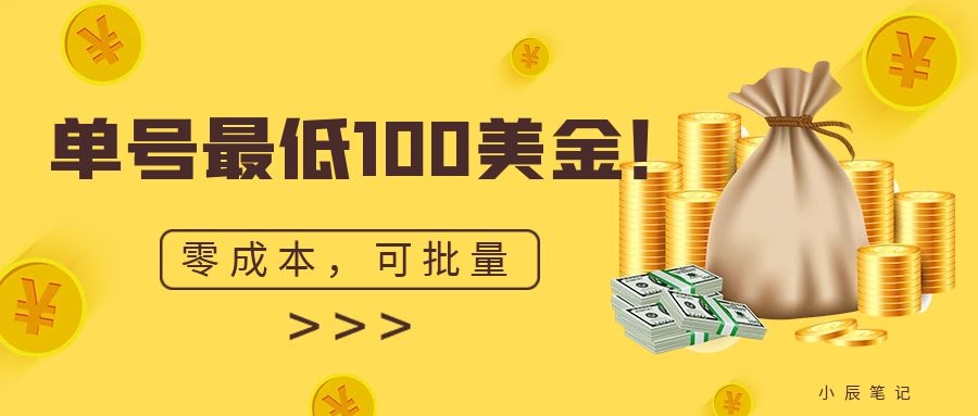 （6975期）单号最低100美金，零成本，小白无脑操作。可复制，可扩大。-创享网