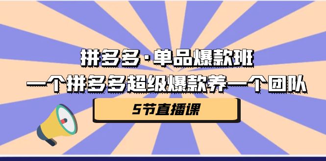 （7019期）拼多多·单品爆款班，一个拼多多超级爆款养一个团队（5节直播课）-我要项目网