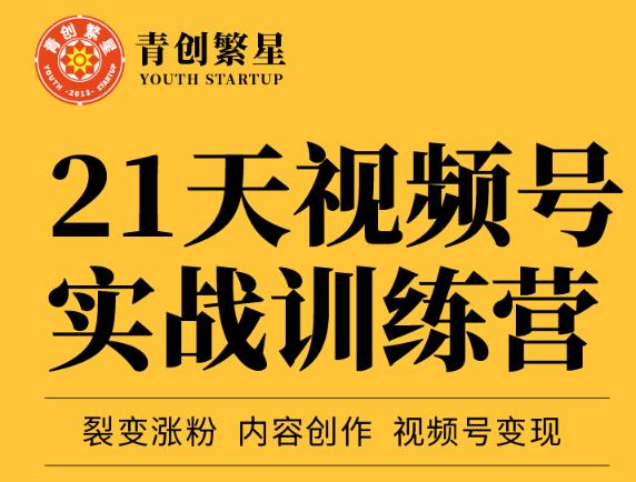 张萌21天视频号实战训练营，裂变涨粉、内容创作、视频号变现 价值298元-创享网