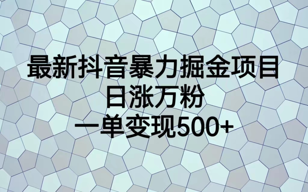 （7100期）最火热的抖音暴力掘金项目，日涨万粉，多种变现方式，一单变现可达500+-云网创