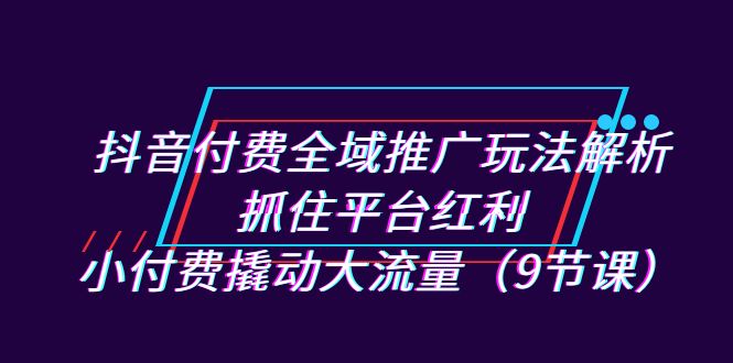 （7160期）抖音付费全域推广玩法解析：抓住平台红利，小付费撬动大流量（9节课）-大海创业网