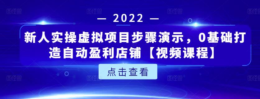 新人实操虚拟项目步骤演示，0基础打造自动盈利店铺【视频课程】-大海创业网