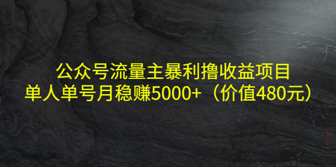 公众号流量主暴利撸收益项目，单人单号月稳赚5000+（价值480元）-副创网