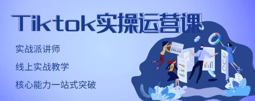 刘博·TikTok实操运营课，手把手账号实战，适合零基础Tiktok新人-大海创业网