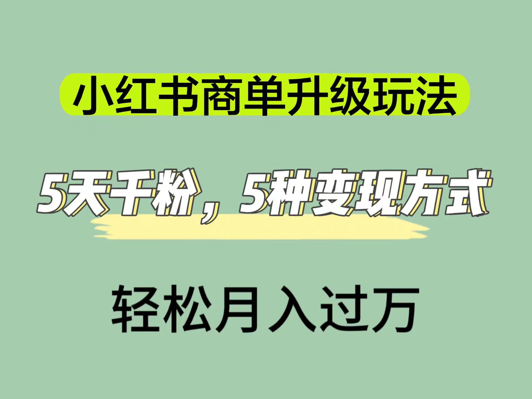 （7312期）小红书商单升级玩法，5天千粉，5种变现渠道，轻松月入1万+-云网创