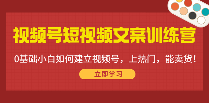 视频号短视频文案训练营：0基础小白如何建立视频号，上热门，能卖货！-副创网