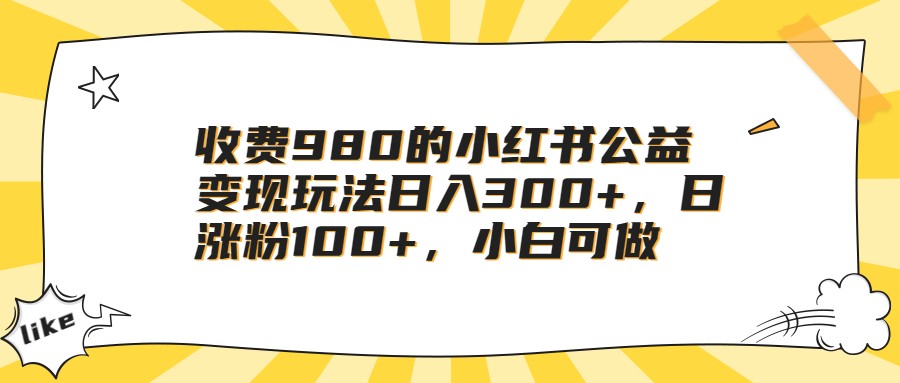 收费980的小红书公益变现玩法日入300+，日涨粉100+，小白可做-雨辰网创分享