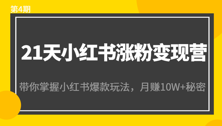 21天小红书涨粉变现营（第4期）：带你掌握小红书爆款玩法，月赚10W+秘密-副创网