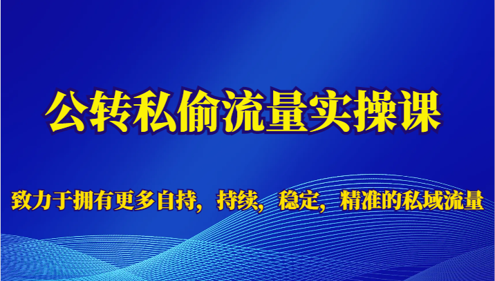 公转私偷流量实操课，致力于拥有更多自持，持续，稳定，精准的私域流量-枫客网创