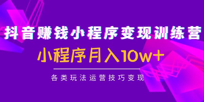 抖音赚钱小程序变现训练营：小程序月入10w+各类玩法运营技巧变现-花生资源网