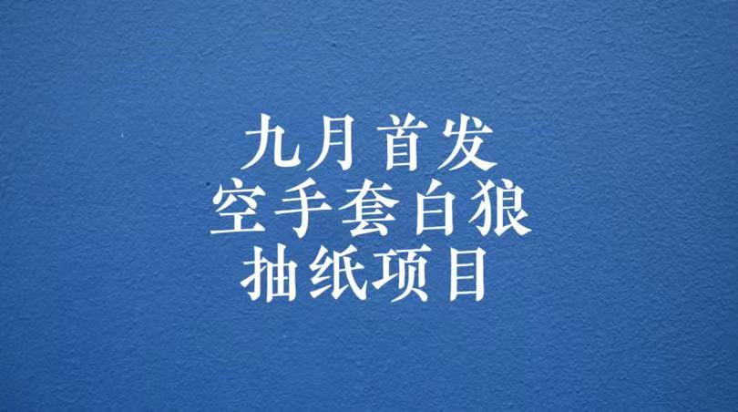 0成本，日入100-500空手套白狼抽纸项目，保姆级教学-大海创业网