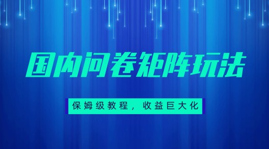 保姆级教程，国内问卷矩阵玩法，轻松赚收益-优优云网创