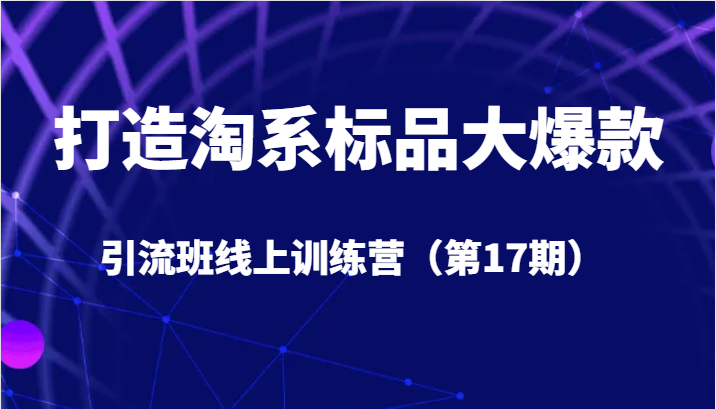 打造淘系标品大爆款引流班线上训练营（第17期）5天直播授课+1个月答疑-优优云网创