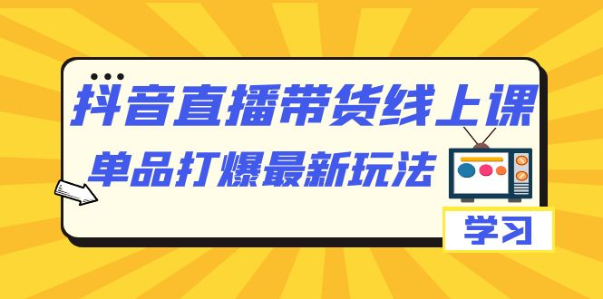 抖音·直播带货线上课，单品打爆最新玩法（12节课）-大海创业网