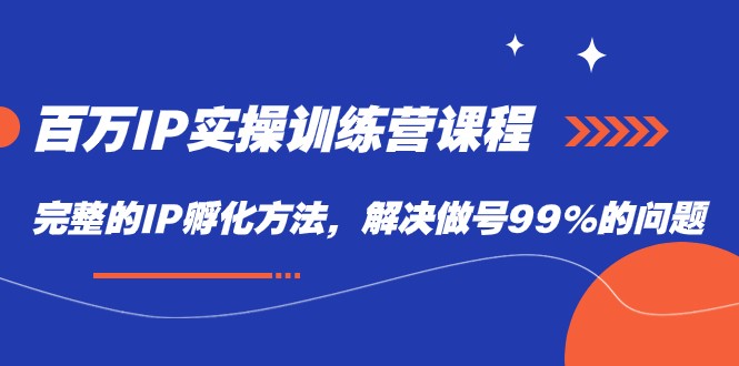 百万IP实战训练营课程，完整的IP孵化方法，解决做号99%的问题清迈曼芭椰创赚-副业项目创业网清迈曼芭椰