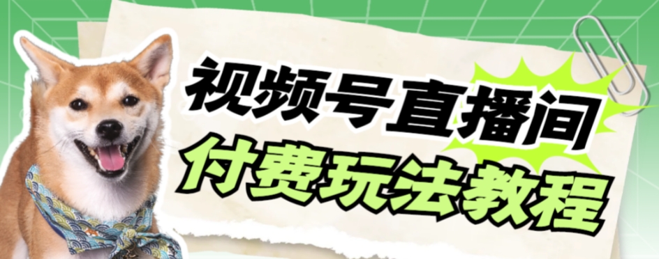 （7660期）视频号美女付费无人直播，轻松日入500+【详细玩法教程】-大海创业网