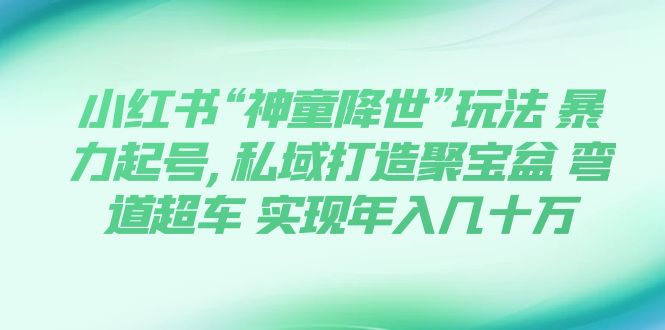 （7673期）小红书“神童降世”玩法 暴力起号,私域打造聚宝盆 弯道超车 实现年入几十万-深鱼云创