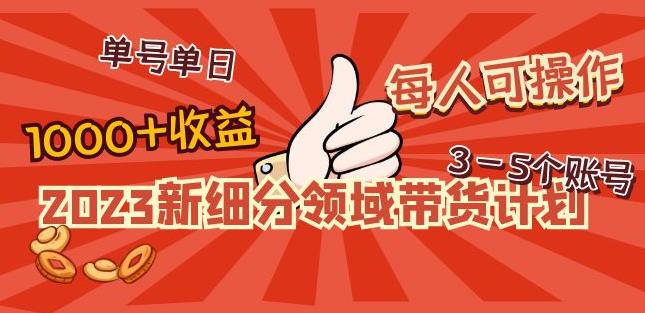 2023新细分领域带货计划：单号单日1000+收益不难，每人可操作3-5个账号-副创网